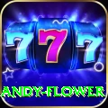 andy flower Turbo Pro v1.6.9