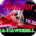 antigua hawksbill Gold Pro v4.8.9