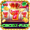 bet365 cricket Casino Prime v4.5.3