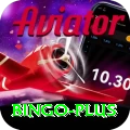 bingo VIP Pro v5.3.4