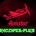 bingopkr VIP Edition v2.6.1