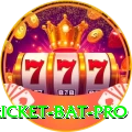 cricket bat Money King v3.9.2