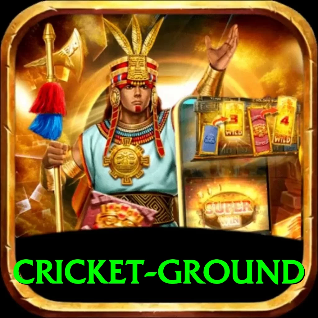 cricket ground Turbo Pro v4.6.5 - 2
