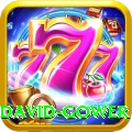 david gower Apps (Tools & Injectors) Deluxe v2.5.3