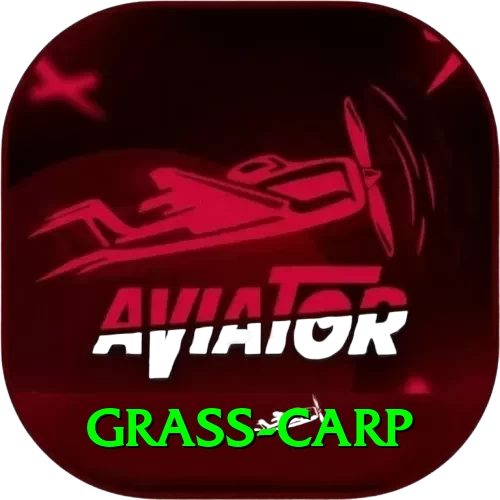 grass carp Max v2.2.4 - 2