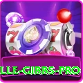 herschelle gibbs Jackpot Max v3.4.5
