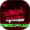 hong kong cricket team Elite v2.7.9