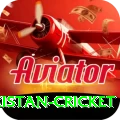 india pakistan cricket Deluxe Edition v5.9.5