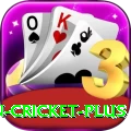 india pakistan cricket Champion - Daily Bonus