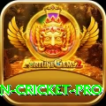 india pakistan cricket Premium PK v4.0.2
