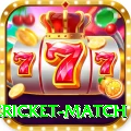 international cricket match Deluxe Edition v5.6.1