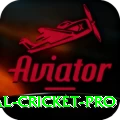 international cricket - Champion Earning App