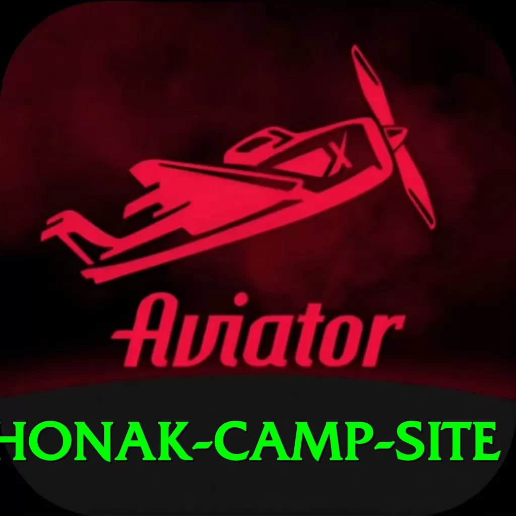 lhonak camp site Elite v5.8.2 - 2