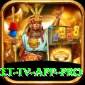 live cricket tv app Official v5.8.5