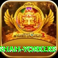 naseem shah yorkers Deluxe v3.1.4