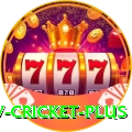 ndtv cricket Live Casino Max