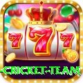new zealand cricket team Pro v5.7.4