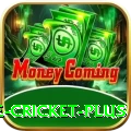 online cricket Mega - Free Download
