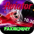 pakrummy Plus v3.4.2