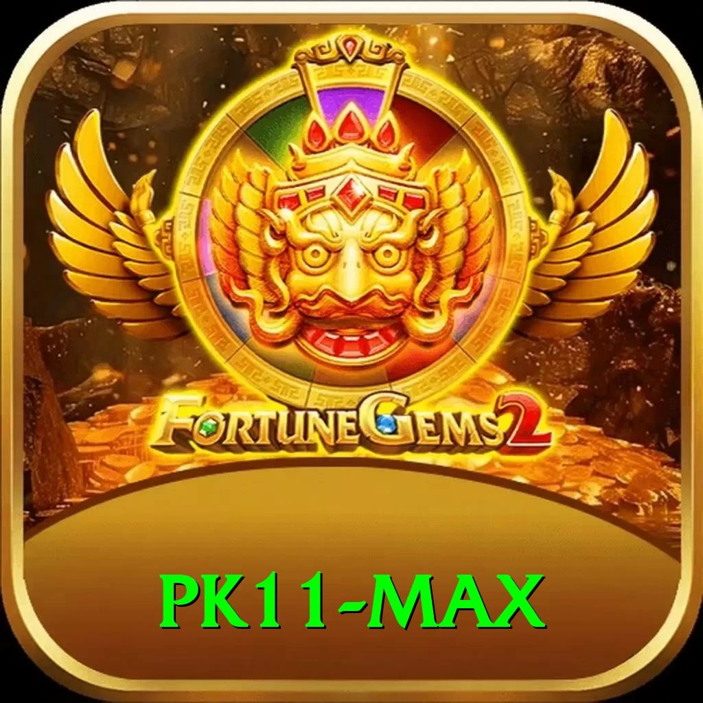 pk11 Premium Edition v4.9.6 - 2