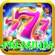pkcasino Mobile Premium