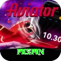 pkspin Plus Pro vv4.2.9
