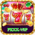 pkzz Plus Edition v5.5.1
