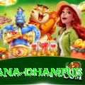 pothana dhampus Pro Edition v4.8.1