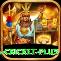 sa cricket App Champion v5.2.4