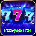 t20 match Premium Edition v1.6.2