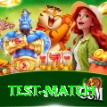test match Games (Casino & Earning) Pro v2.5.1