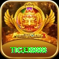 tiger888 Plus v1.9.5