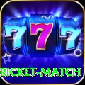 to day cricket match Deluxe v2.4.6