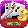 wc t20 Master v4.0.8