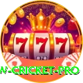 willow cricket Slots King v5.4.9